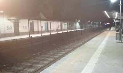 Photos of F Mitre