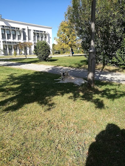 Photos of University of Montenegro - Tehnical Faculties