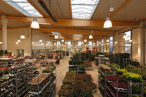 flora-point Blumenshop GmbH Verwaltung / Zentrale - Thumbnail