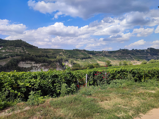 Poderi Roccanera s.s.a. - Thumbnail
