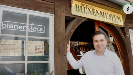 Neueste