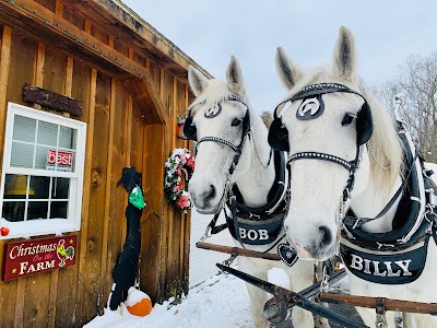 Liberty Farm & Carriage Company