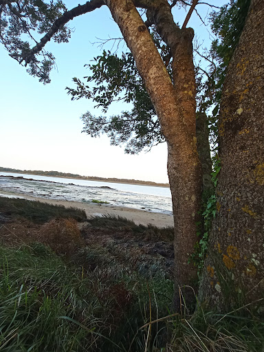 Pointe de Rosvellec - Thumbnail