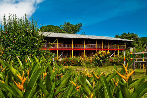 Playa de Oro Lodge Bahía Solano