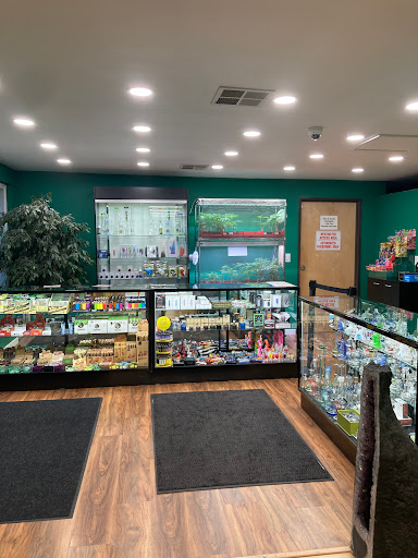 Emerald Triangle - Talent - Visual