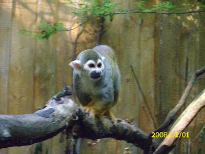 Photos of Zoo Aschersleben