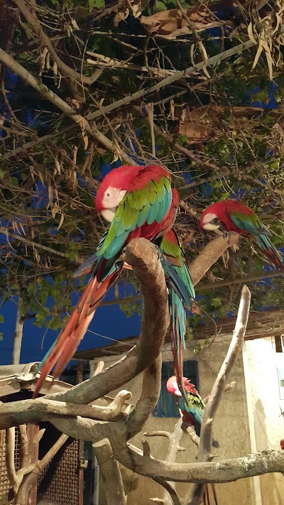 Photos of Zoo Garden Shapoor Dashad