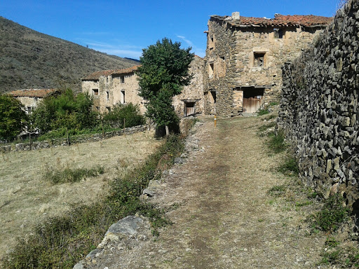 Oliván - Visual