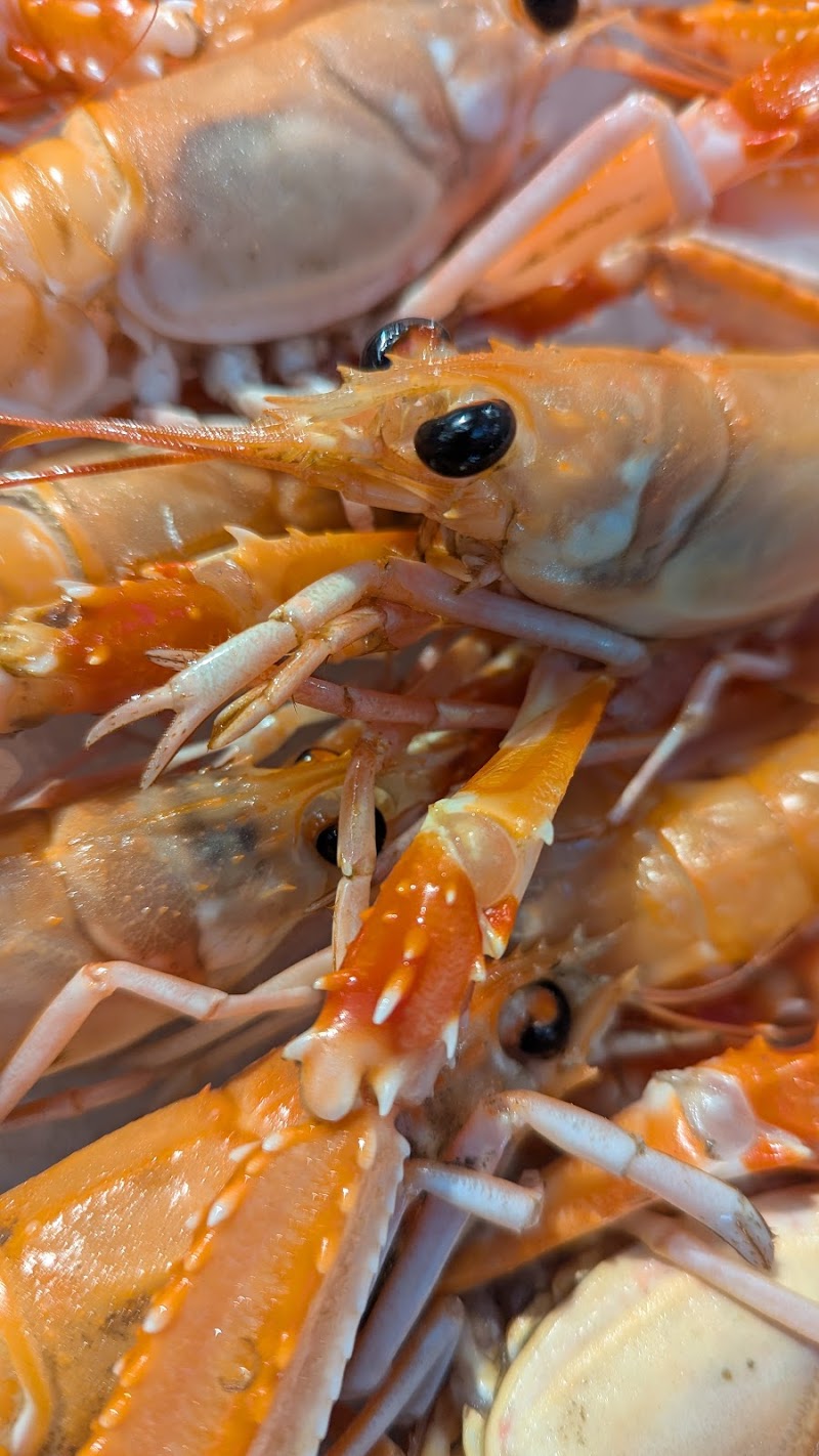Phil's Plaice photo 2