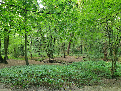 Thundersley Glen