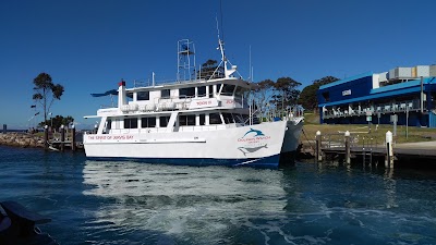 Photos of Dolphin Watch Cruises Jervis Bay