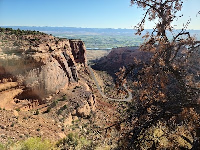 Fruita Canyon View