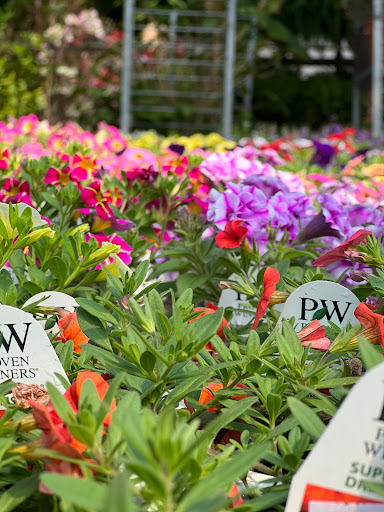 Don's Plants