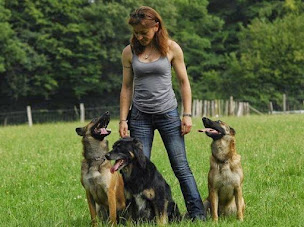 Photo n°2 de Accord Parfait / Les Anges de Sheitan à Servignat (Dresseur pour chiens)