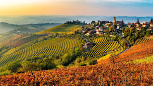 Photo n°17 de FITOUR Voyages à Bergerac (Agence de voyages)
