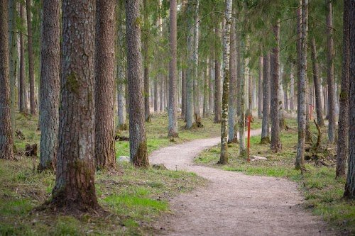 Brocēnu Mežaparks