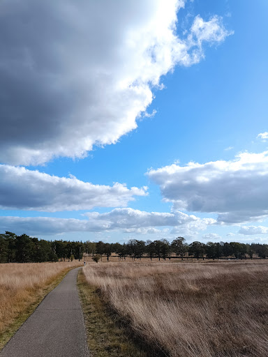 Schaarsbergen, Viersprong - Thumbnail