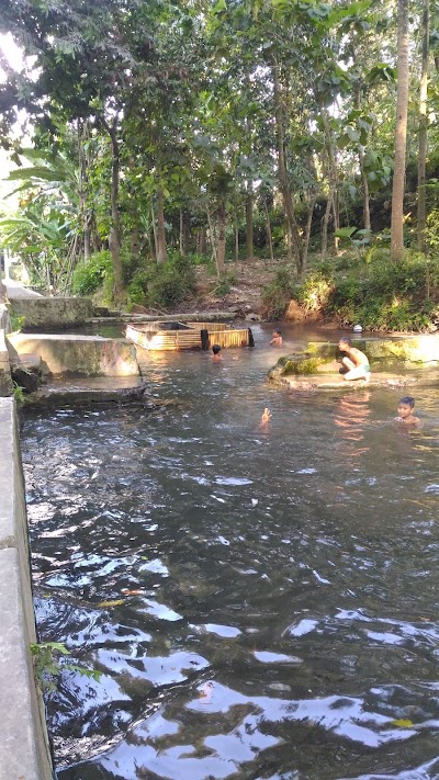 Photos of Umbul Leses