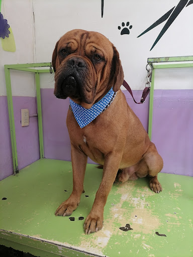 Clínica Veterinaria Abc - Thumbnail