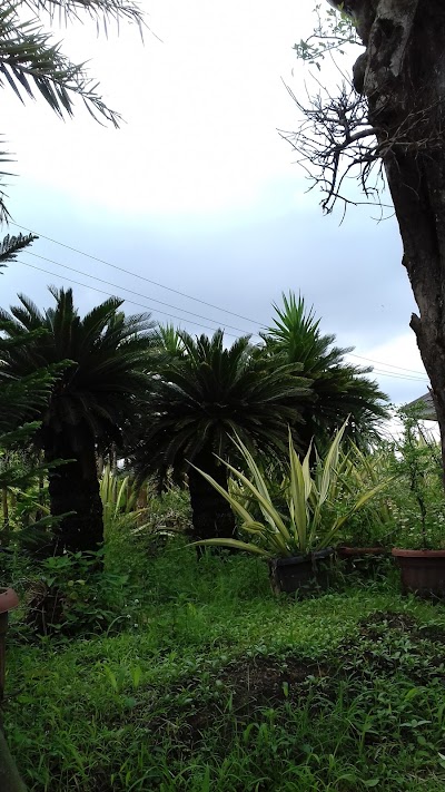 Photos of taman bunga mank yana