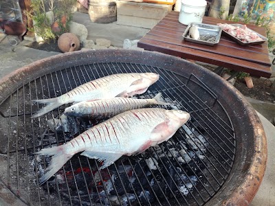 Photos of Restaurant Svishtov