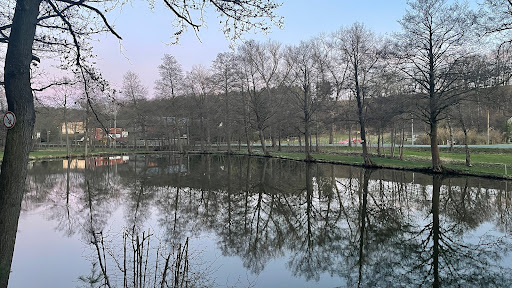 Friedhof Oelsnitz/Vogtland - Thumbnail