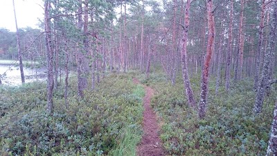 Photos of Kirikum&auml;e matkarajad