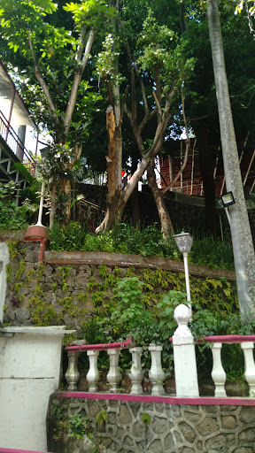 DIF Cuernavaca - Visual