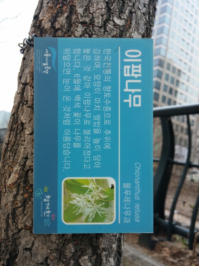 Cheonggyecheon-ro
