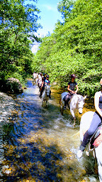 Photo n°7 de École des Écuyers - Centre de formation équestre à Chamaret (Centre de formation)