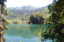 Biogradska Gora National Park, Kolašin Region, Montenegro