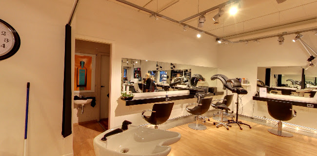 http://www.palmesalonen.dk/