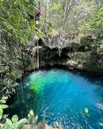 Cenote Zapote Ecopark - Thumbnail
