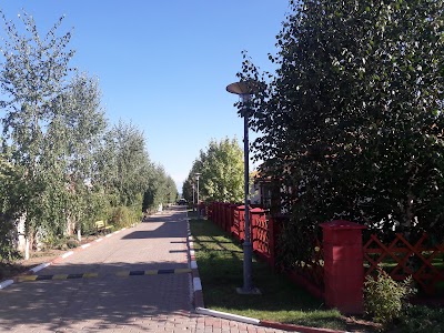 Photos of Sol Del'fin