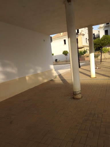 Pino de La Vía