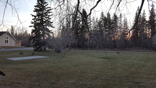 Galbraith Park - Canada