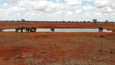 Photos of Ngutuni Lodge Tsavo East