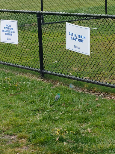 Kevin Bartlett Reserve