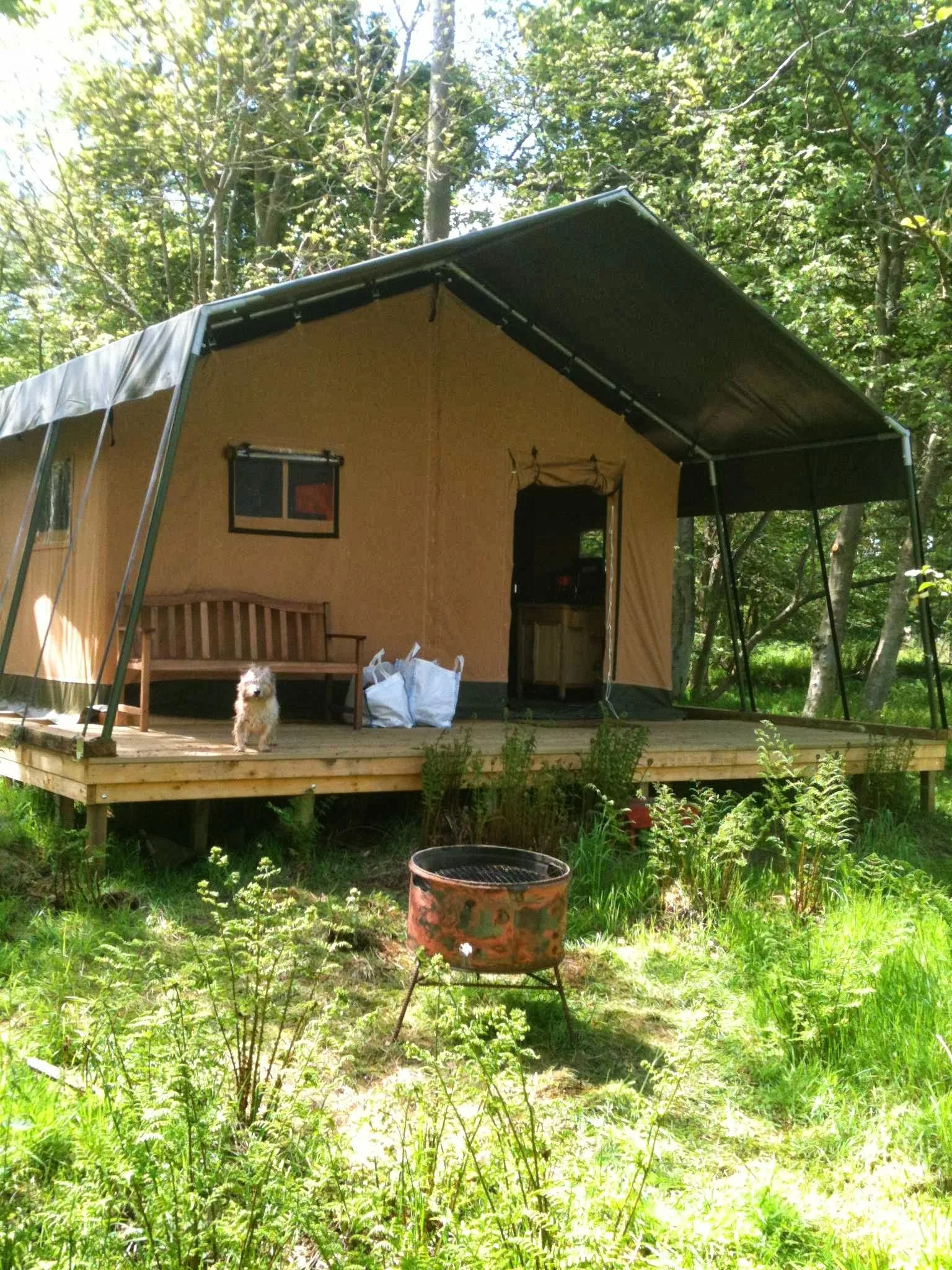Ruberslaw Wild Woods Camping & Glamping
