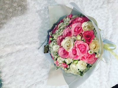 Photos of Berlian Blooms