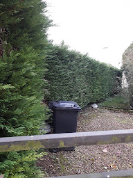Photo n°6 de Presta Jardins à Saint-Sylvain (Service d'entretien de pelouse)