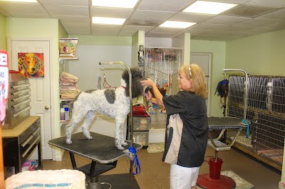 Photos of Naples Safari Animal Hospital & Pet Resort -Veterinarian & Pet Boarding
