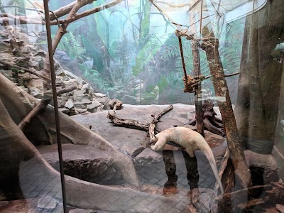 Small Mammal House