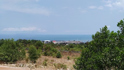 Photos of Palm Tours and Travels