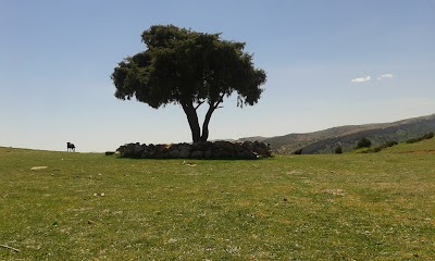 Photos of Skoura Gite