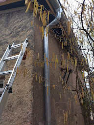 Photo n°4 de Travaux Renov 21 Beaune à Beaune (Entrepreneur spécialisé dans l'isolation)