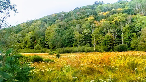ShineOn Valley. - Thumbnail