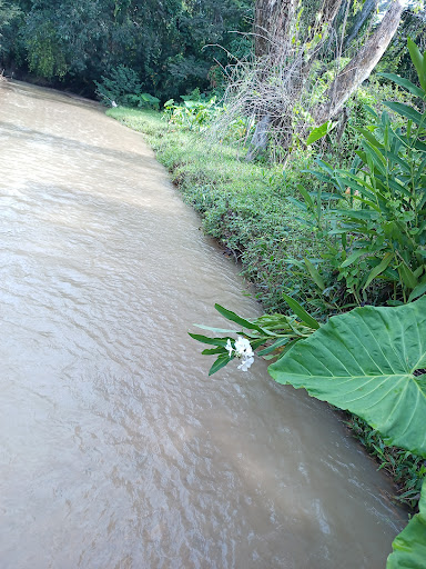 Río de Zacualpa - Thumbnail
