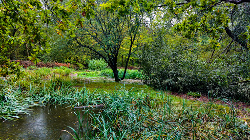 Thundersley Glen - Thumbnail