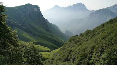 Bosco del Fatonero